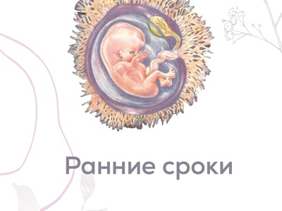 Ранние сроки