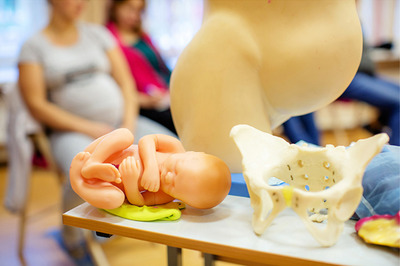Курс лекций для беременных